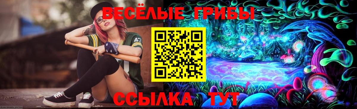 Псилоцибиновые грибы ЛСД Нурлат